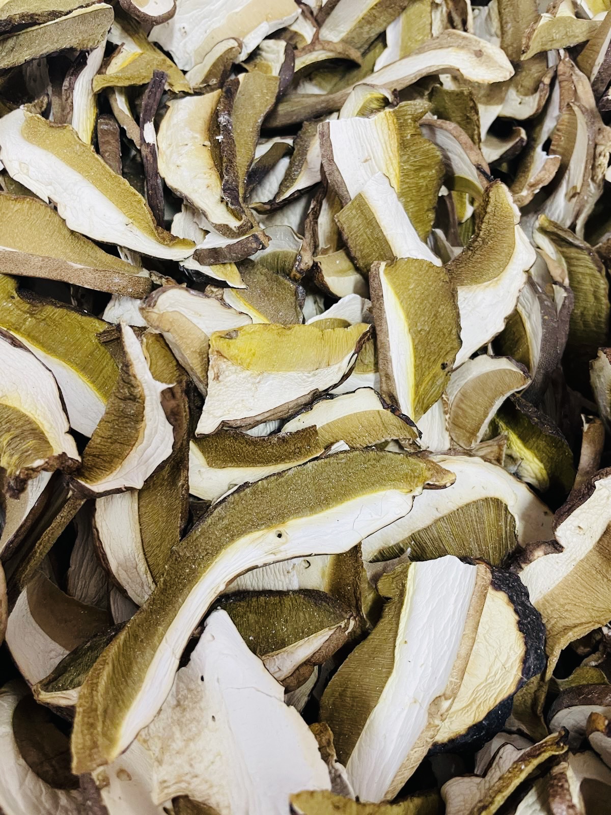 Cèpes à sorcier